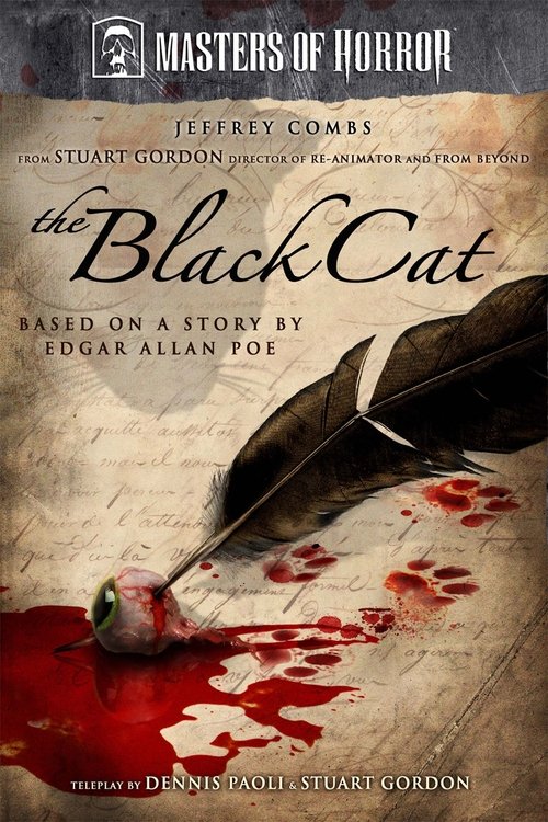Movie poster for The Black Cat (2007)