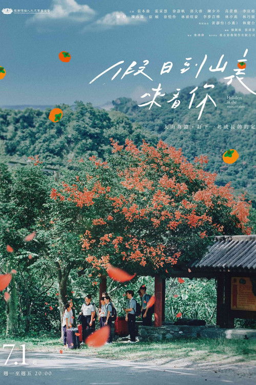 Holidays in the Mountains poster