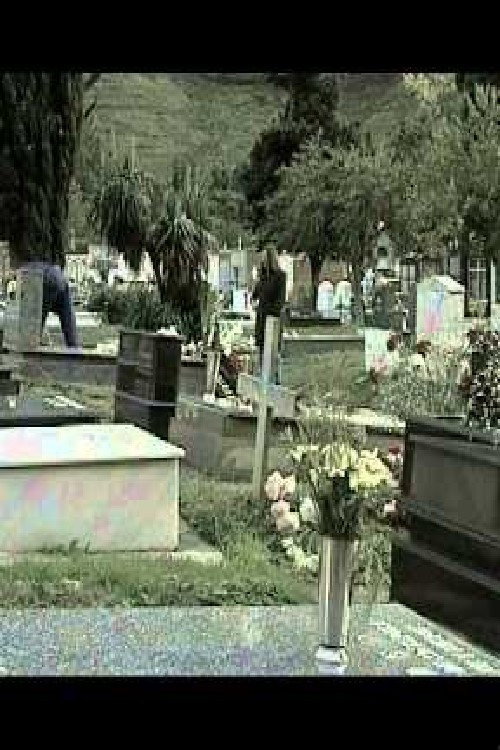 Movie poster for L'aire les castañes (2000)