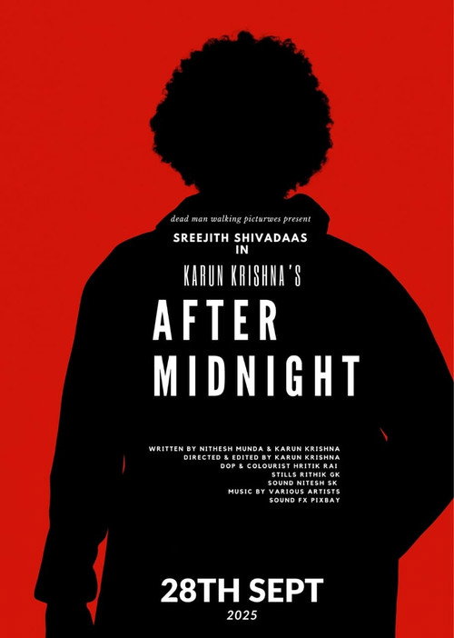 Movie poster for After Midnight (2025)