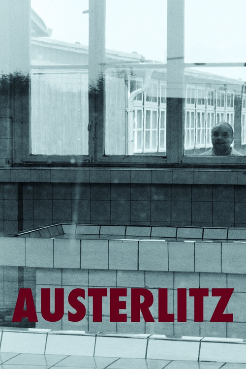 Movie poster for Austerlitz (2016)