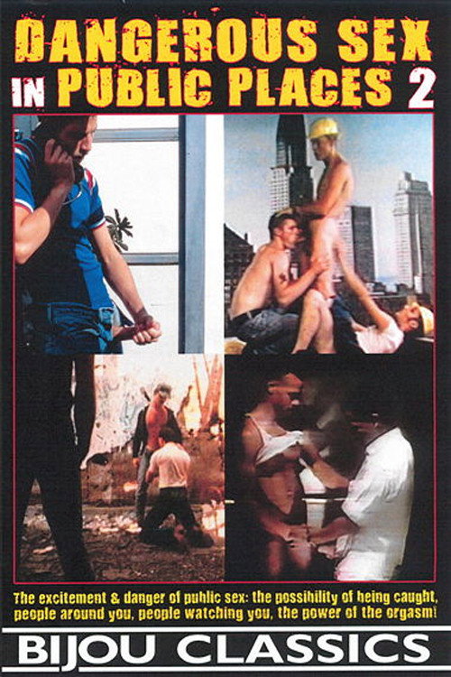 Movie poster for Dangerous Sex in Public Places 2 (2016)