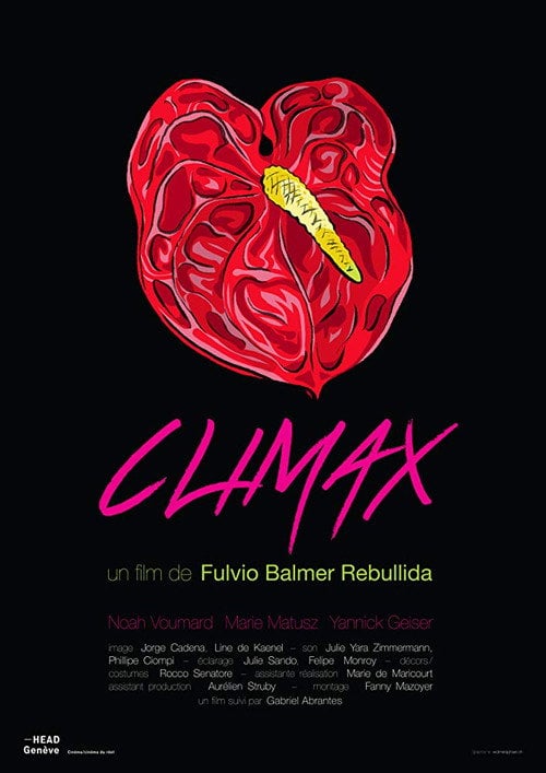 Movie poster for Climax (2016)