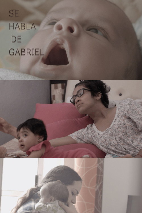Movie poster for Se habla de Gabriel (2020)