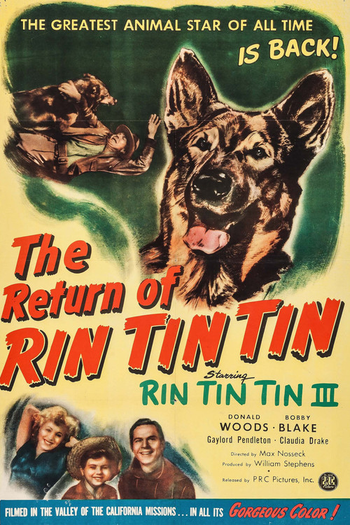 Movie poster for The Return of Rin Tin Tin (1947)