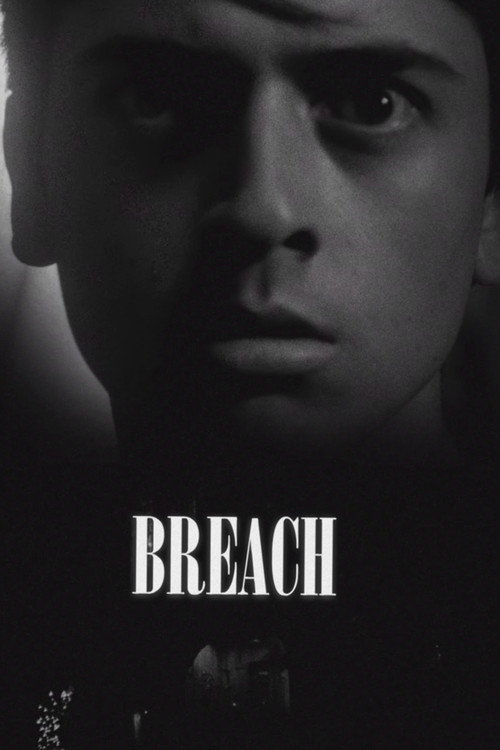 Movie poster for BREACH (2025)