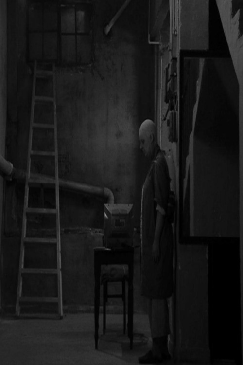 Movie poster for Inner empty (2012)