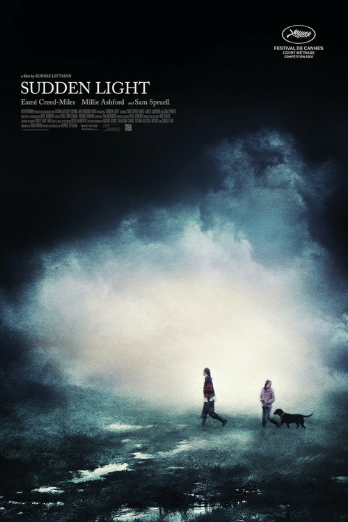 Movie poster for Sudden Light (2020)