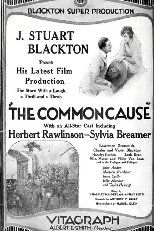 Movie poster for The Common Cause (1919)