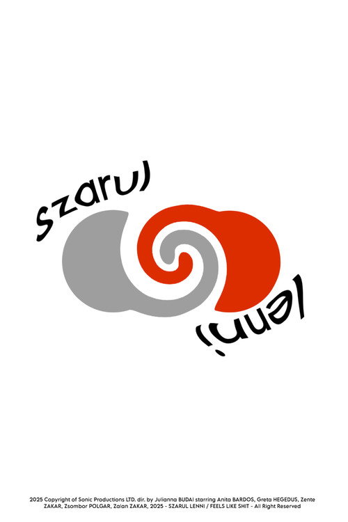 Movie poster for Szarul Lenni