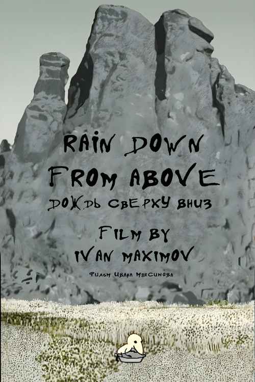Movie poster for Rain Down from Above (2007)