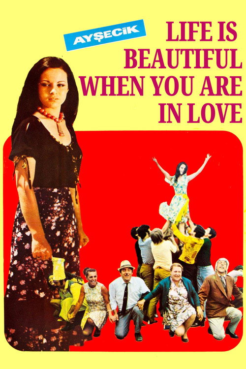 Movie poster for Life is Beautiful When You Are in Love (1971)