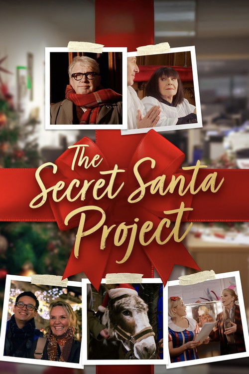 Movie poster for The Secret Santa Project (2025)