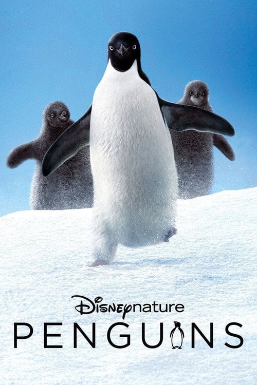 Movie poster for Penguins (2019)