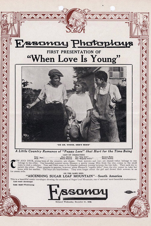 Movie poster for When Love is Young (1913)