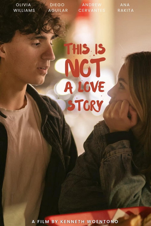 Movie poster for This Is Not a Love Story (2025)