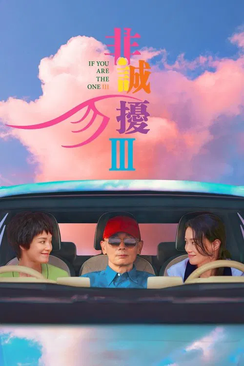Movie poster for If You Are the One 3 (2023)
