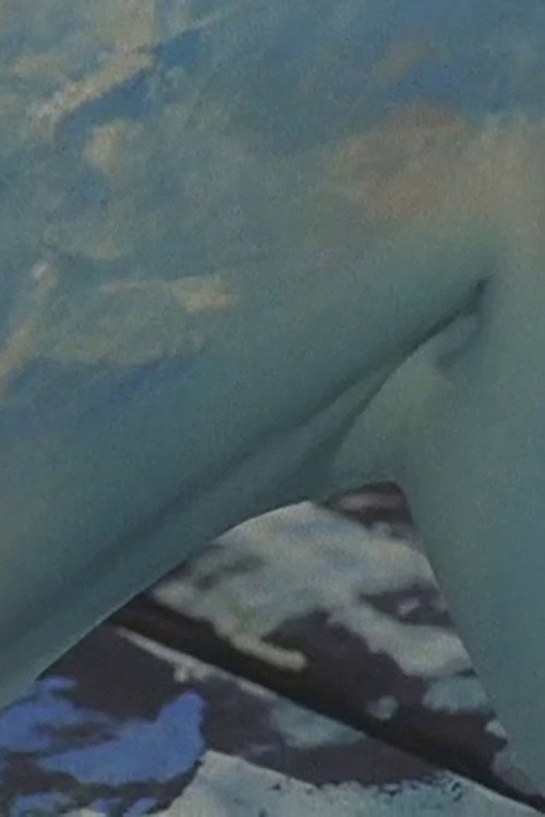 Movie poster for Swan’s Island (2005)