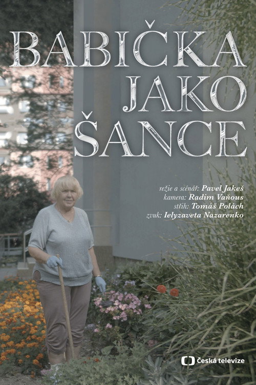 Movie poster for Babička jako Šance (2022)