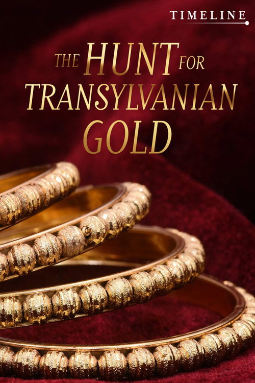 Movie poster for The Hunt for Transylvanian Gold (2017)
