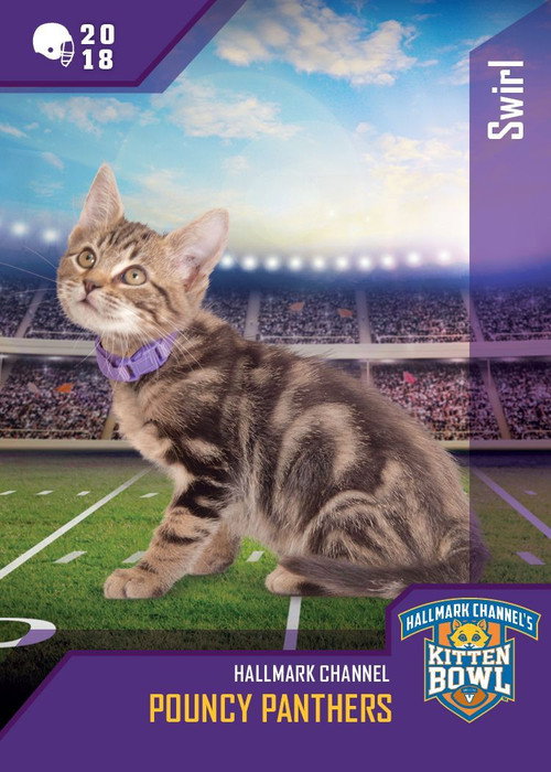 Movie poster for Kitten Bowl VIII Special (2021)