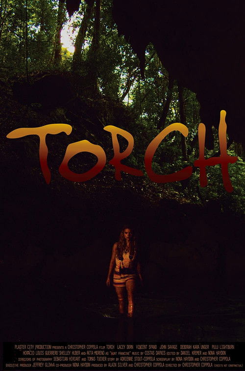 Movie poster for Torch (2018)