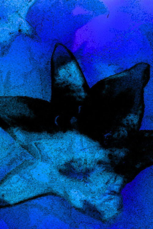 Movie poster for Blue Monet (2006)