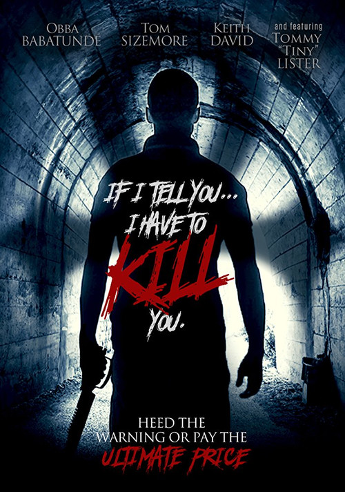 Movie poster for If I Tell You I Have to Kill You (2015)