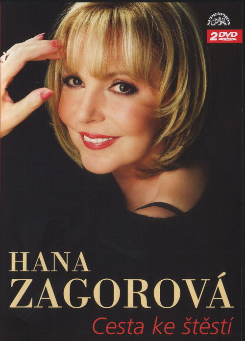 Movie poster for Cesta ke štěstí (2004)