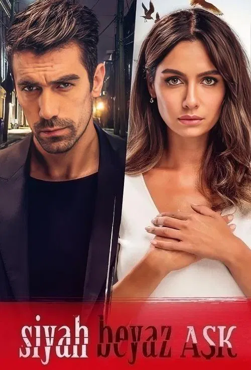 Series poster for Price Of Passion (2017)