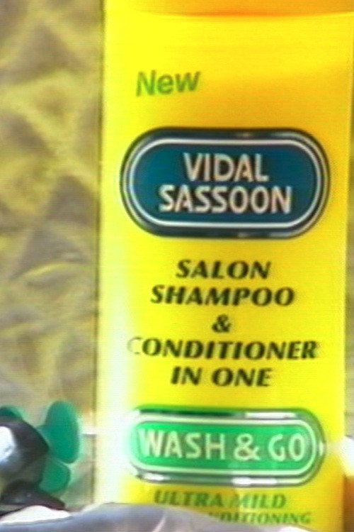 Movie poster for The Story of Wash & Go (1995)