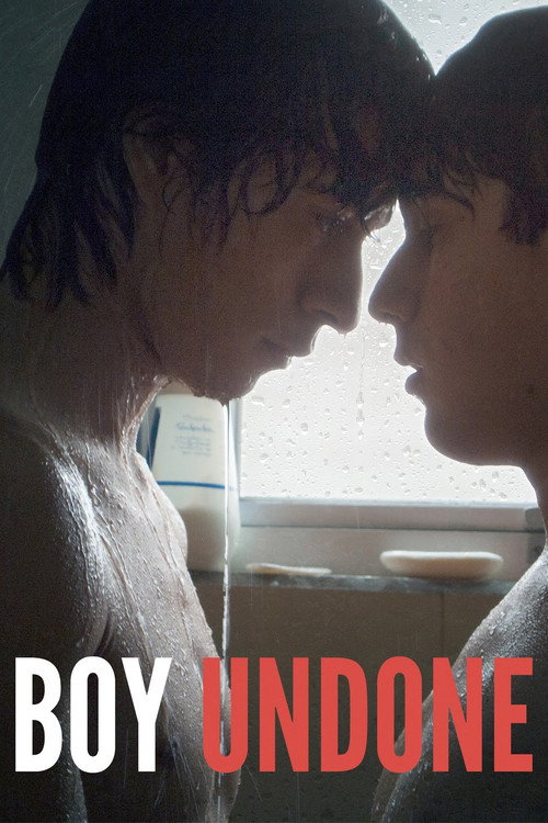 Movie poster for Boy Undone (2017)