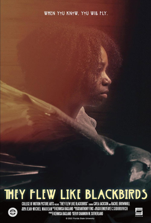 Movie poster for They Flew Like Blackbirds (2022)