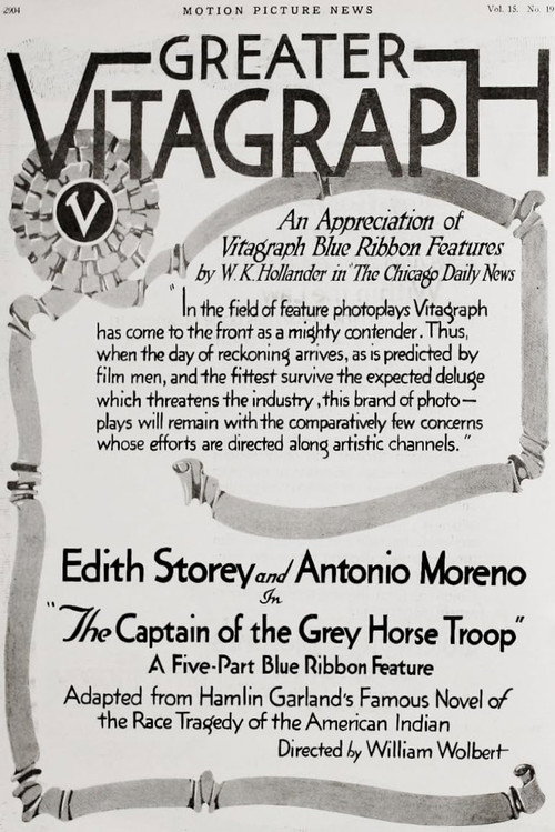 Movie poster for The Captain of the Grey Horse Troop (1917)
