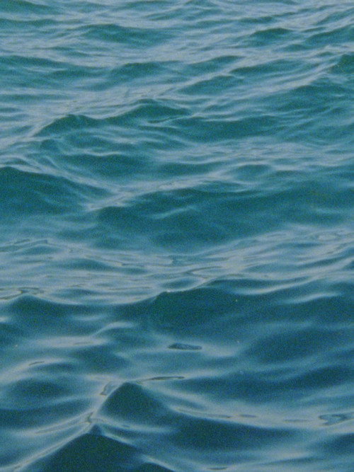 Movie poster for Water Diary (2026)