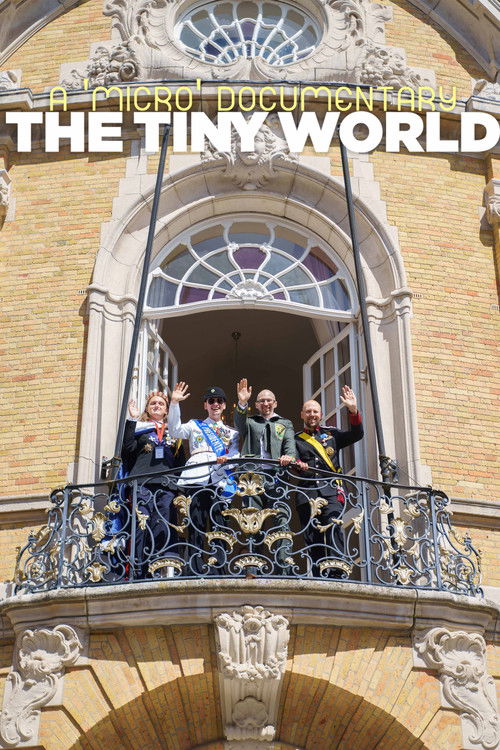 Movie poster for The Tiny World