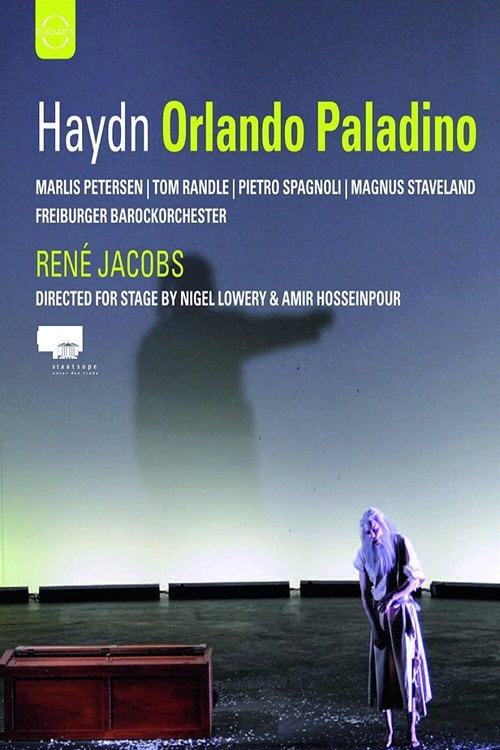 Movie poster for Orlando Paladino (2009)