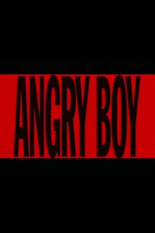 Movie poster for Angry Boy (1997)