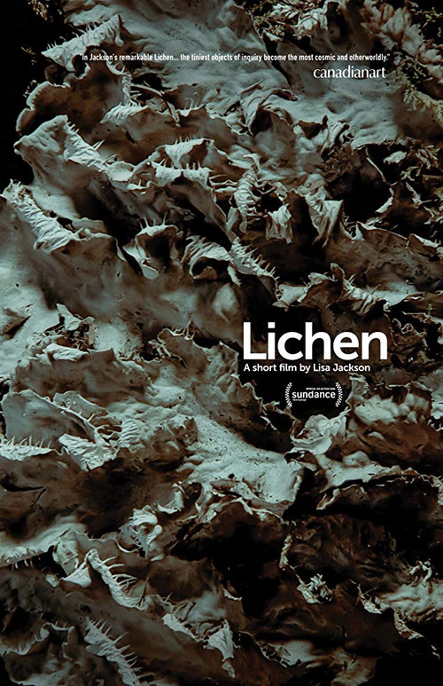 Movie poster for Lichen (2019)