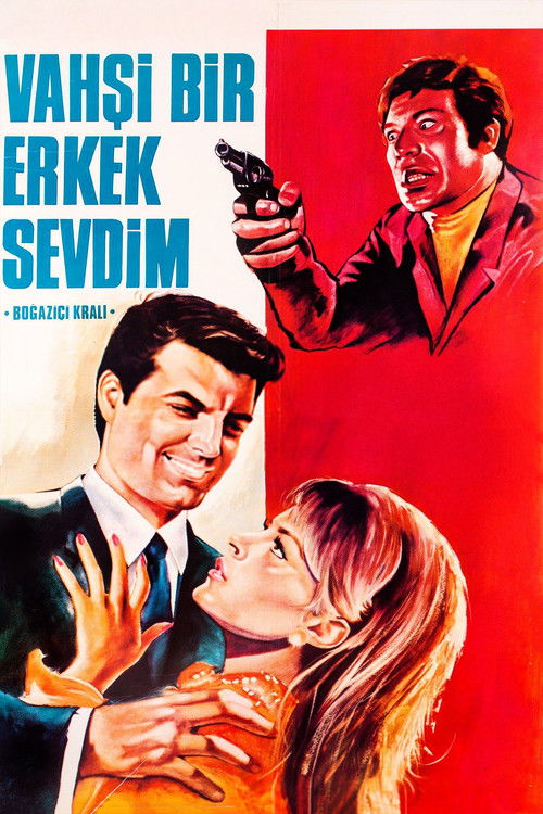 Movie poster for Vahşi Bir Erkek Sevdim (1968)