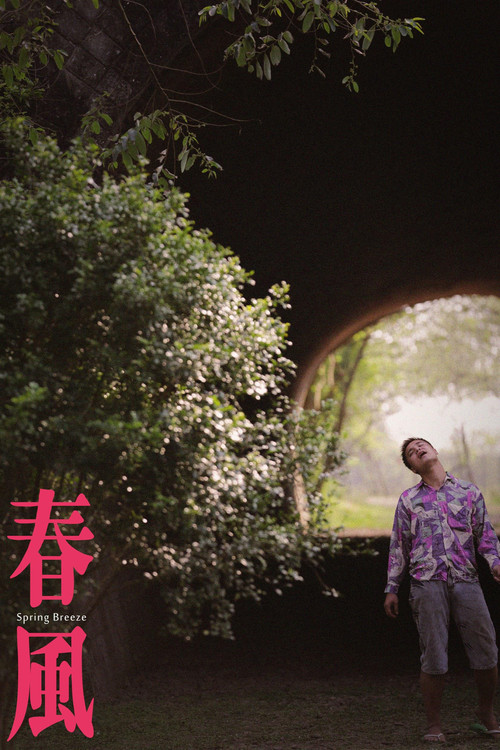 Movie poster for Spring Breeze (2014)