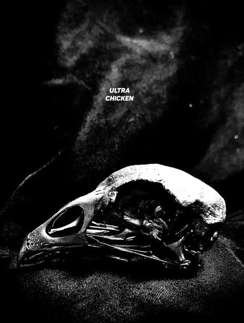 Movie poster for Ultra Chicken