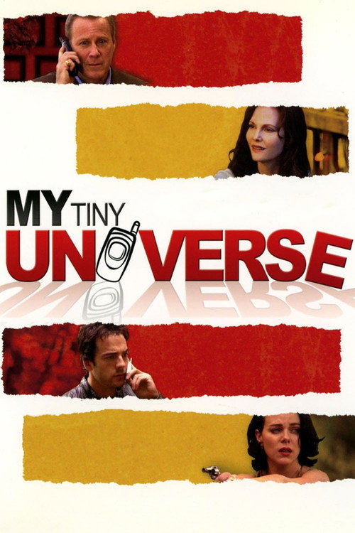 Movie poster for My Tiny Universe (2004)