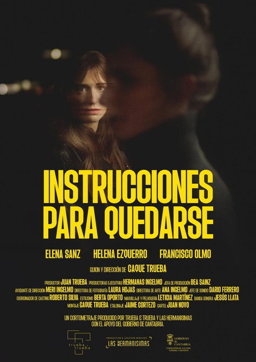 Movie poster for Instrucciones para quedarse