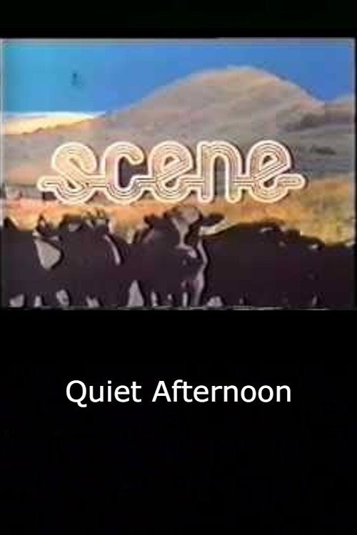 Movie poster for Quiet Afternoon (1972)