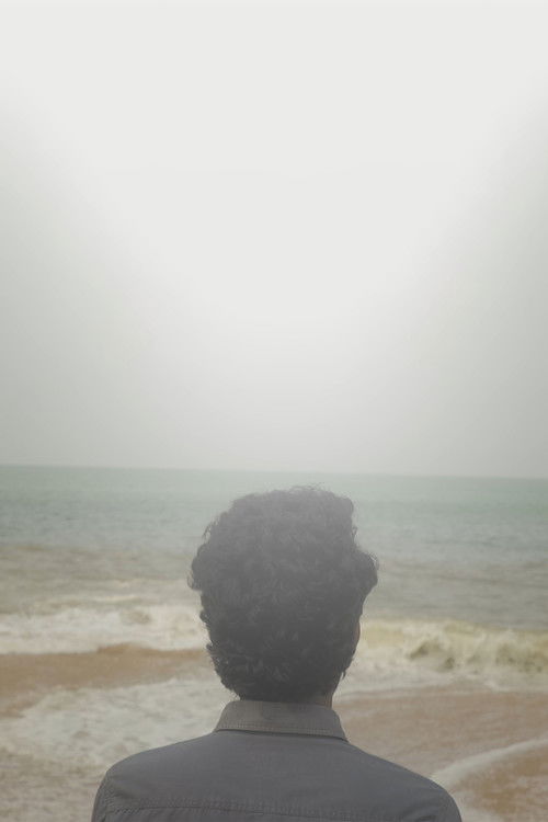 Movie poster for Drop (2022)