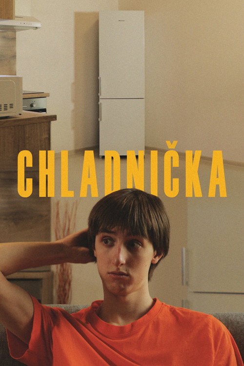 Movie poster for Chladnička (2024)