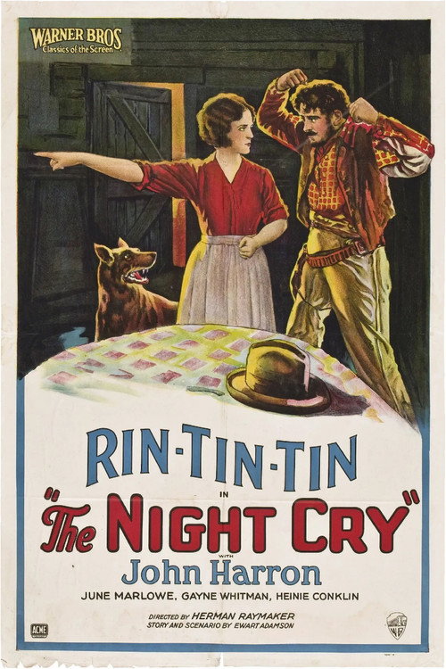 Movie poster for The Night Cry (1926)