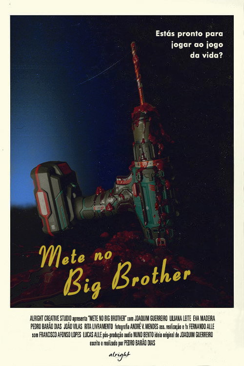 Movie poster for Mete no Big Brother