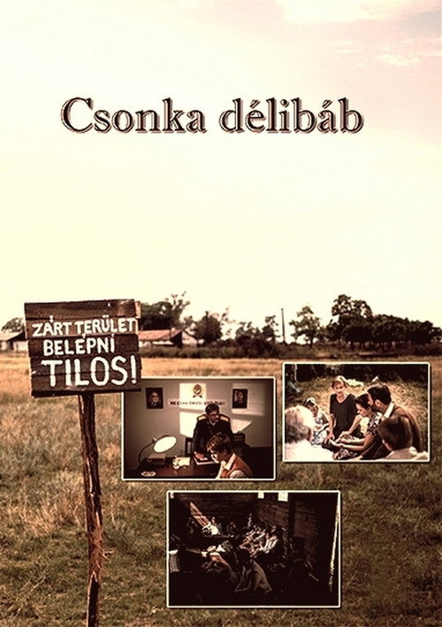 Movie poster for Csonka délibáb (2015)